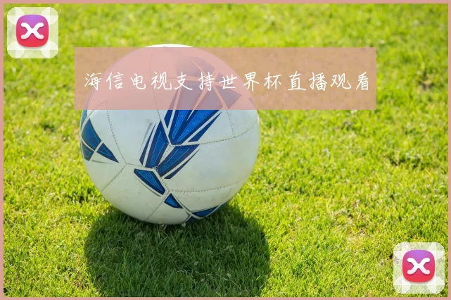 海信电视支持世界杯直播观看