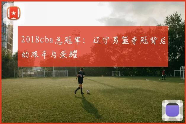 2018cba总冠军：辽宁男篮夺冠背后的艰辛与荣耀